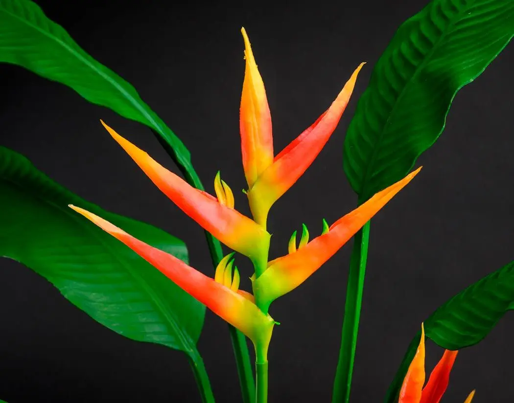 Искусственное растение T226 1.75m (Green/Red)