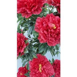 Искусственное растение T243 1.8m (Green/Red) Thumb