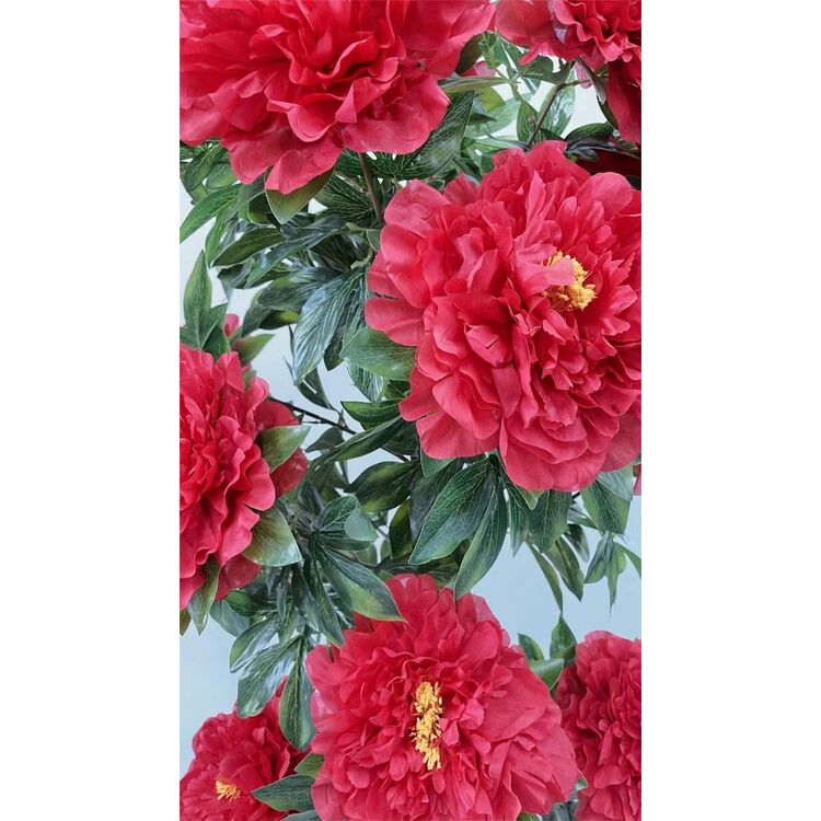 Фото 3