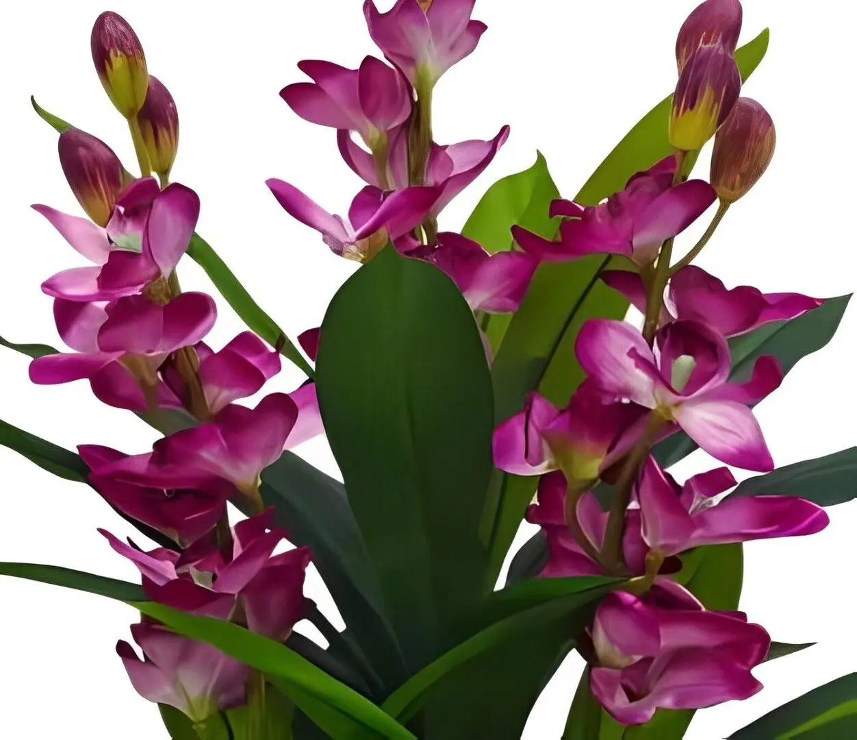 Искусственное растение T263 1.10m (Green/Pink)