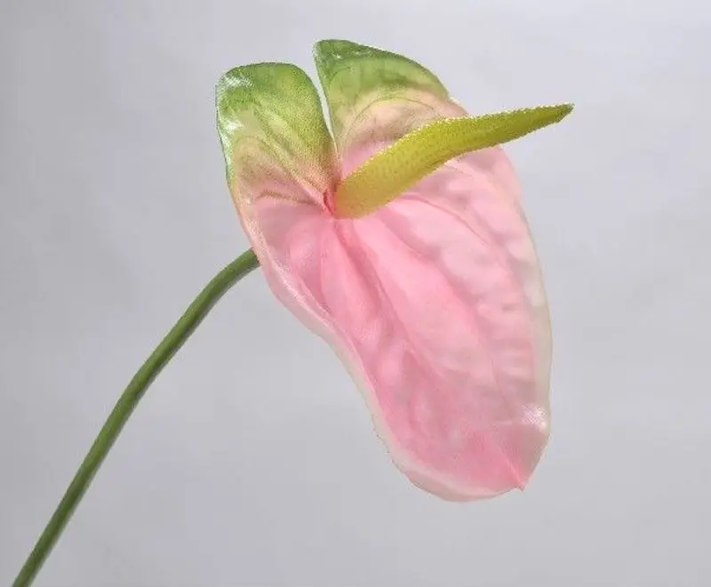 Planta artificiala T270 1.65m (Green)