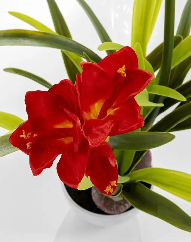 Planta artificiala Amaryllis 76cm (Green/Red)