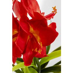 Planta artificiala Amaryllis 76cm (Green/Red) Thumb