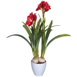 Planta artificiala Amaryllis 76cm (Green/Red)
