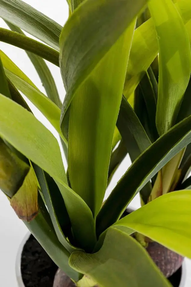 Planta artificiala Amaryllis 76cm (Green/Red)