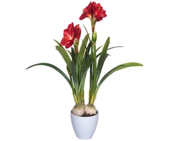 Planta artificiala Amaryllis 76cm (Green/Red)