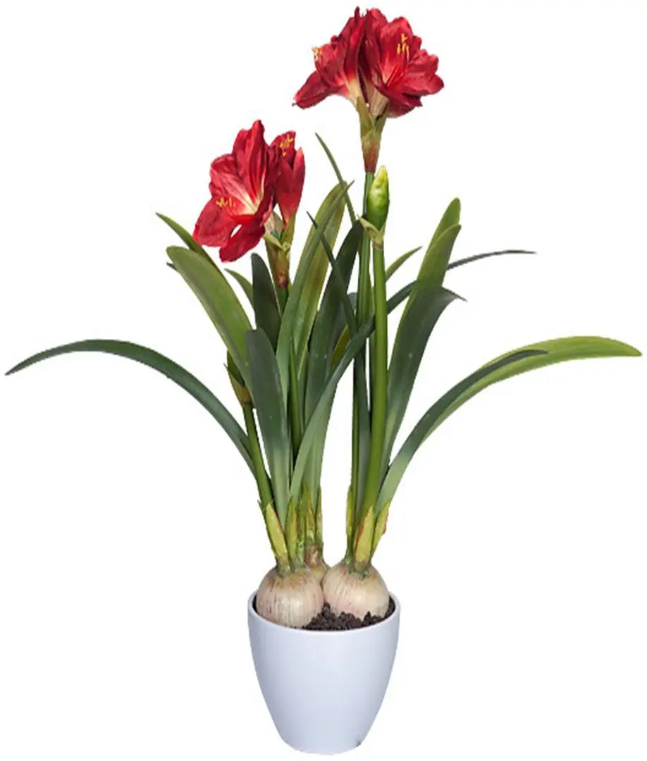 Planta artificiala Amaryllis 76cm (Green/Red)
