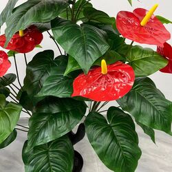 Planta artificiala Anthurium (Green/Red) Thumb