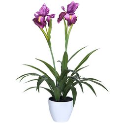Растение искусственное Cattleya Orchid 69cm (Green/Pink)