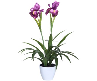 Planta artificiala Cattleya Orchid 69cm (Green/Pink)