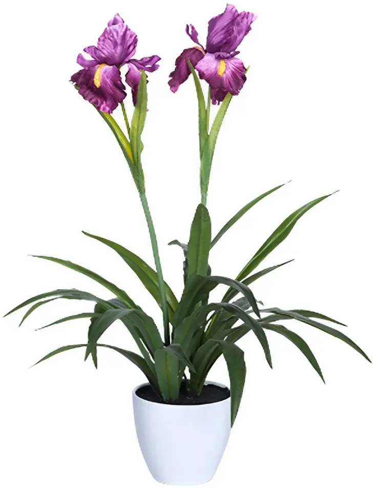 Planta artificiala Cattleya Orchid 69cm (Green/Pink)