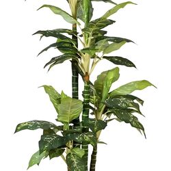 Растение искусственное Dieffenbachia 2 (Green) Thumb