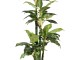 Planta artificiala Dieffenbachia 2 (Green)