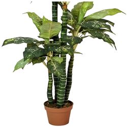 Растение искусственное Dieffenbachia 2 (Green) Thumb
