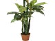 Planta artificiala Dieffenbachia 2 (Green)