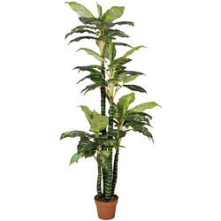 Planta artificiala Dieffenbachia 2 (Green)