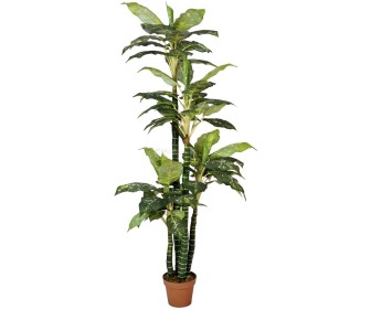 Planta artificiala Dieffenbachia 2 (Green)