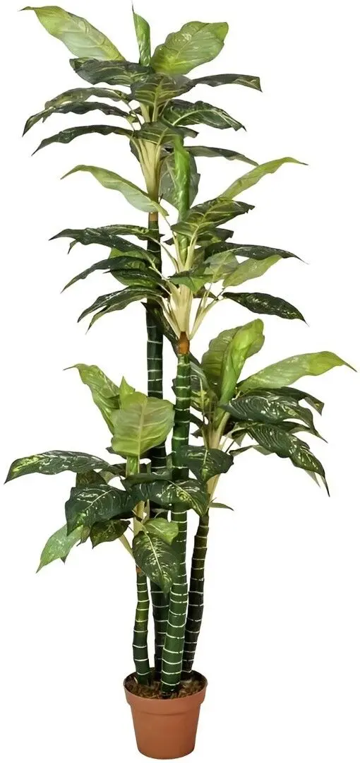 Растение искусственное Dieffenbachia 2 (Green)