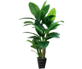 Planta artificiala Dieffenbachia (Green)