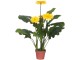 Planta artificiala Gerbera Jamesonii 70cm (Green/Yellow)