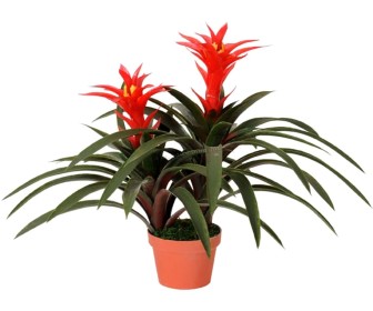 Planta artificiala Guimania 60cm (Green/Red)