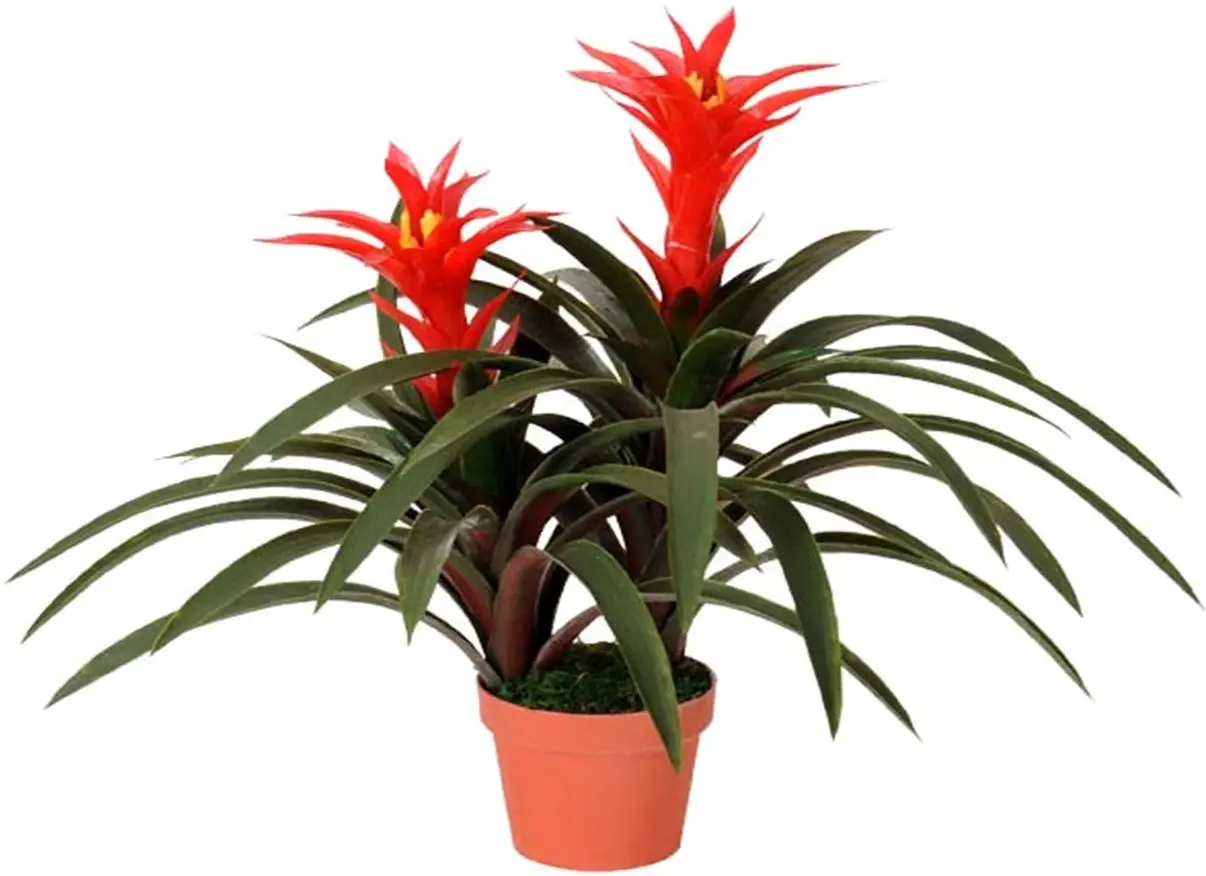 Planta artificiala Guimania 60cm (Green/Red)