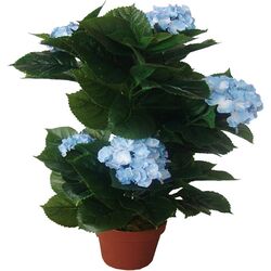 Planta artificiala Hydrangea 45cm (Green/Blue)
