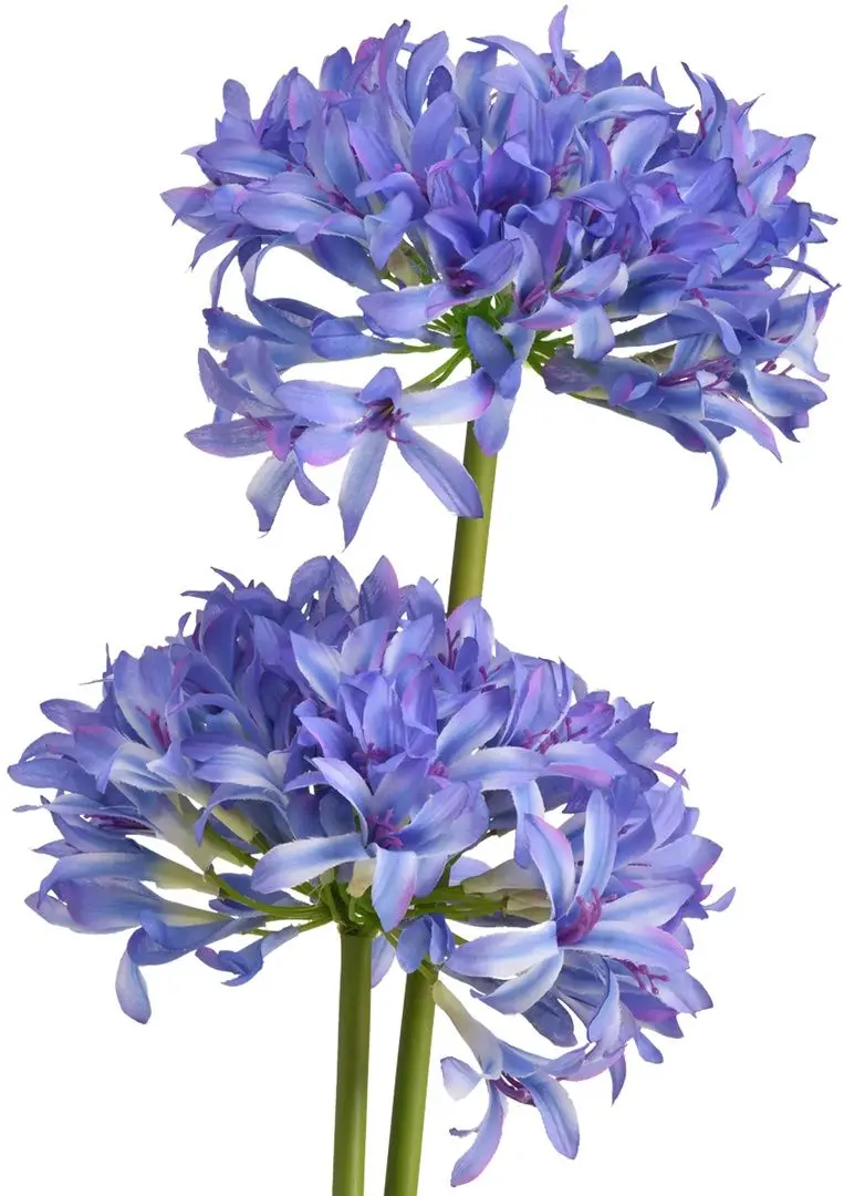 Planta artificiala Narcissus 108cm (Green/Purple)