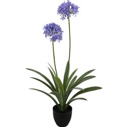 Planta artificiala Narcissus 108cm (Green/Purple)