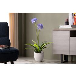 Planta artificiala Narcissus 108cm (Green/Purple) Thumb