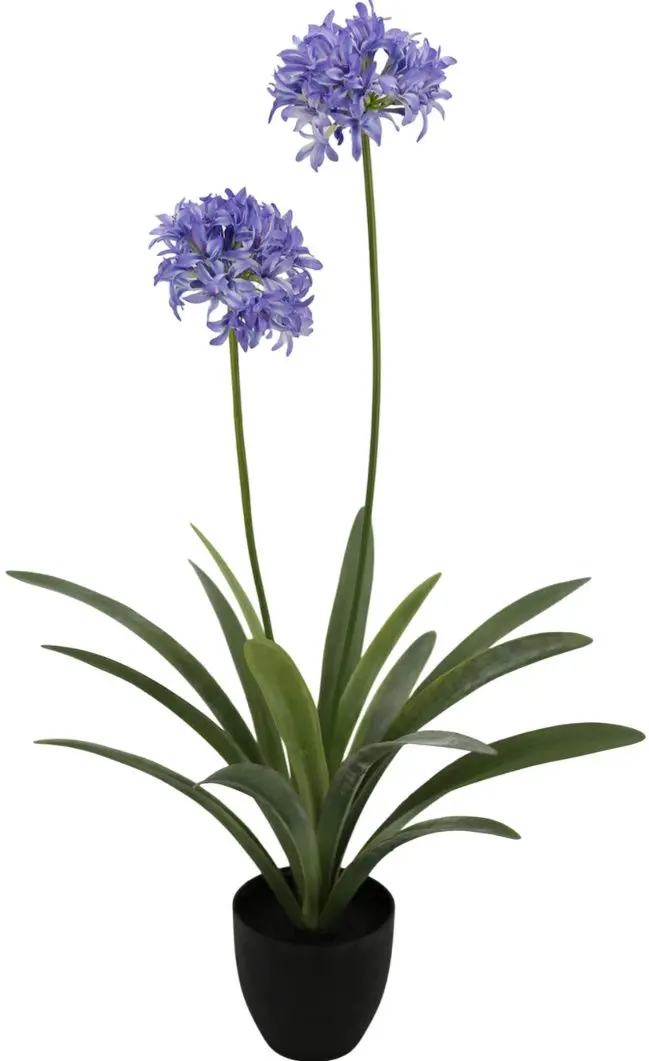 Planta artificiala Narcissus 108cm (Green/Purple)