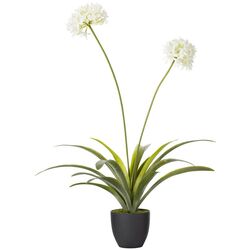 Растение искусственное Narcissus 108cm (Green/White) Thumb