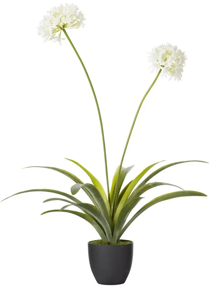 Растение искусственное Narcissus 108cm (Green/White)
