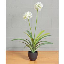 Растение искусственное Narcissus 108cm (Green/White) Thumb