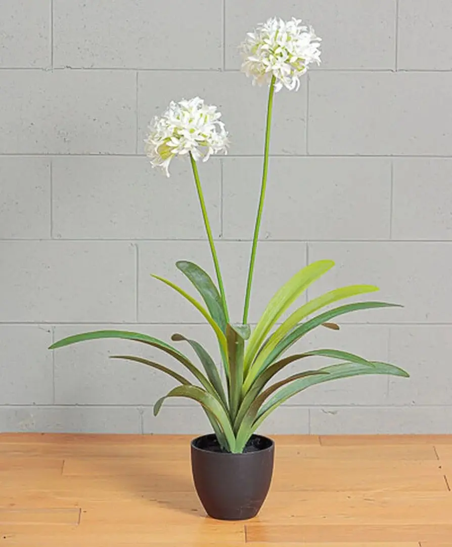 Растение искусственное Narcissus 108cm (Green/White)