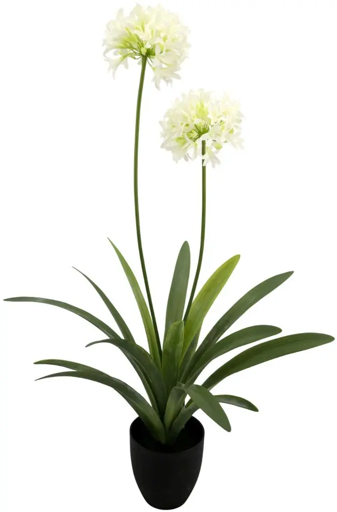 Растение искусственное Narcissus 108cm (Green/White)