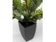 Planta artificiala Palm 55cm (Green)