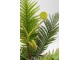 Planta artificiala Palm 55cm (Green)