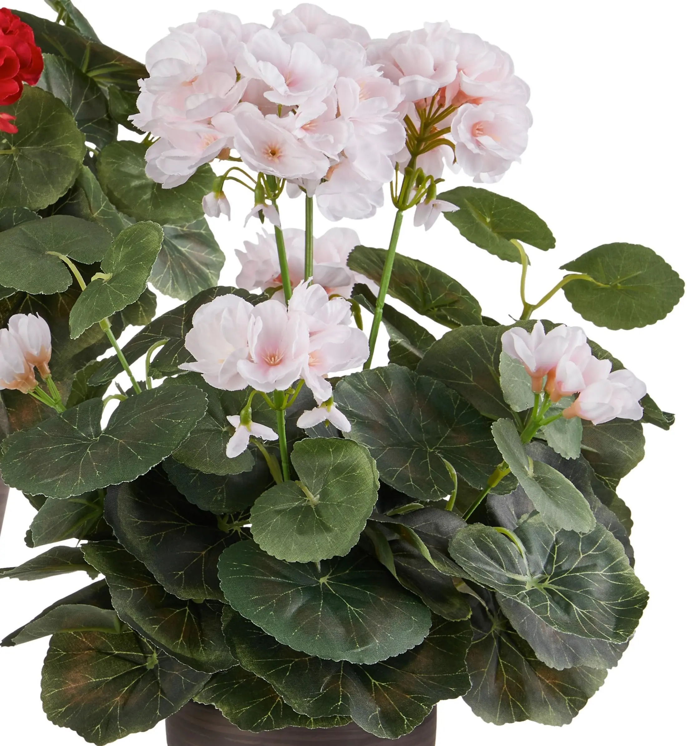 Растение искусственное Royal Geranium 55246 35x25cm - 2