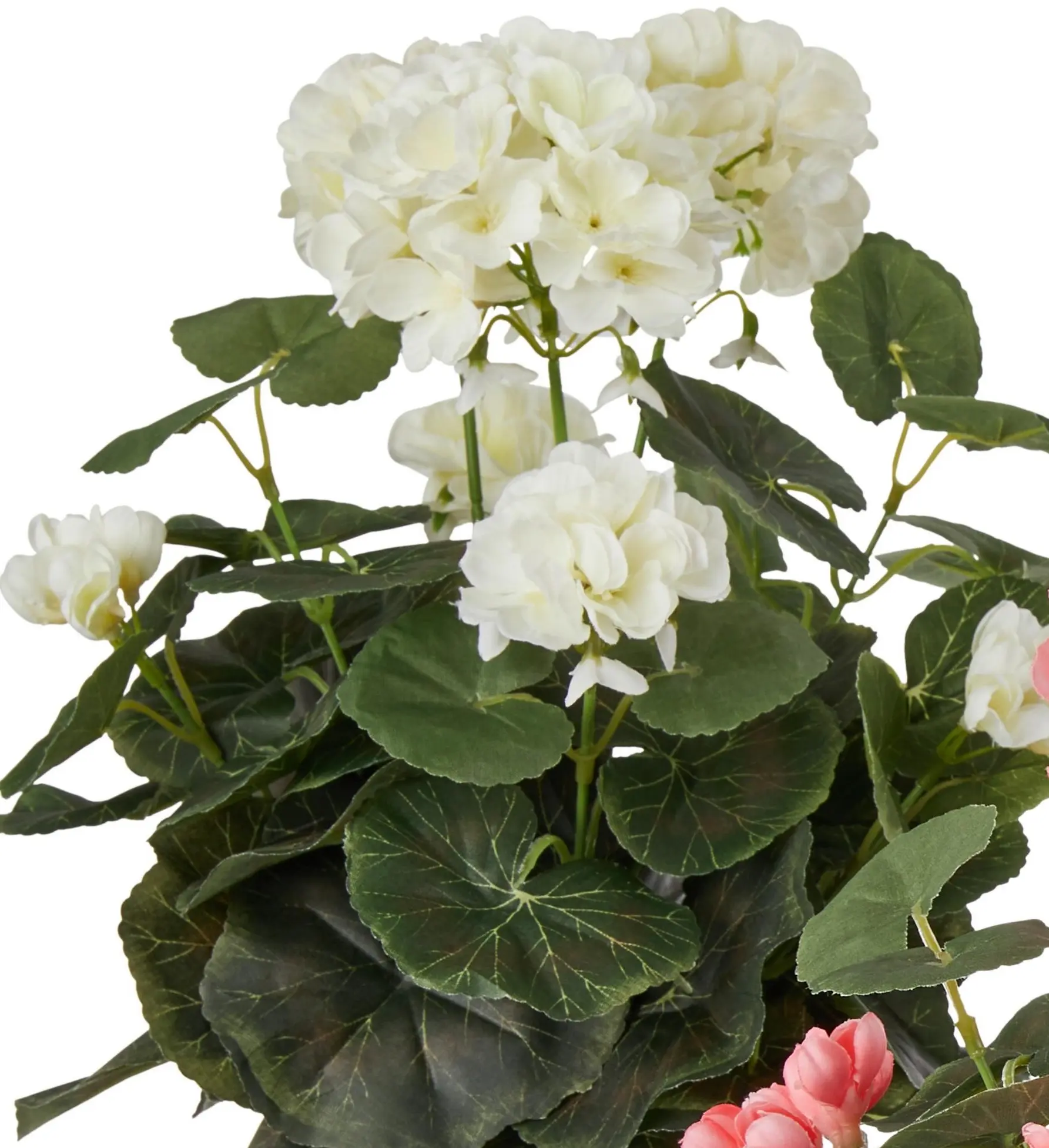 Растение искусственное Royal Geranium 55246 35x25cm - 3