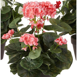 Растение искусственное Royal Geranium 55246 35x25cm Thumb