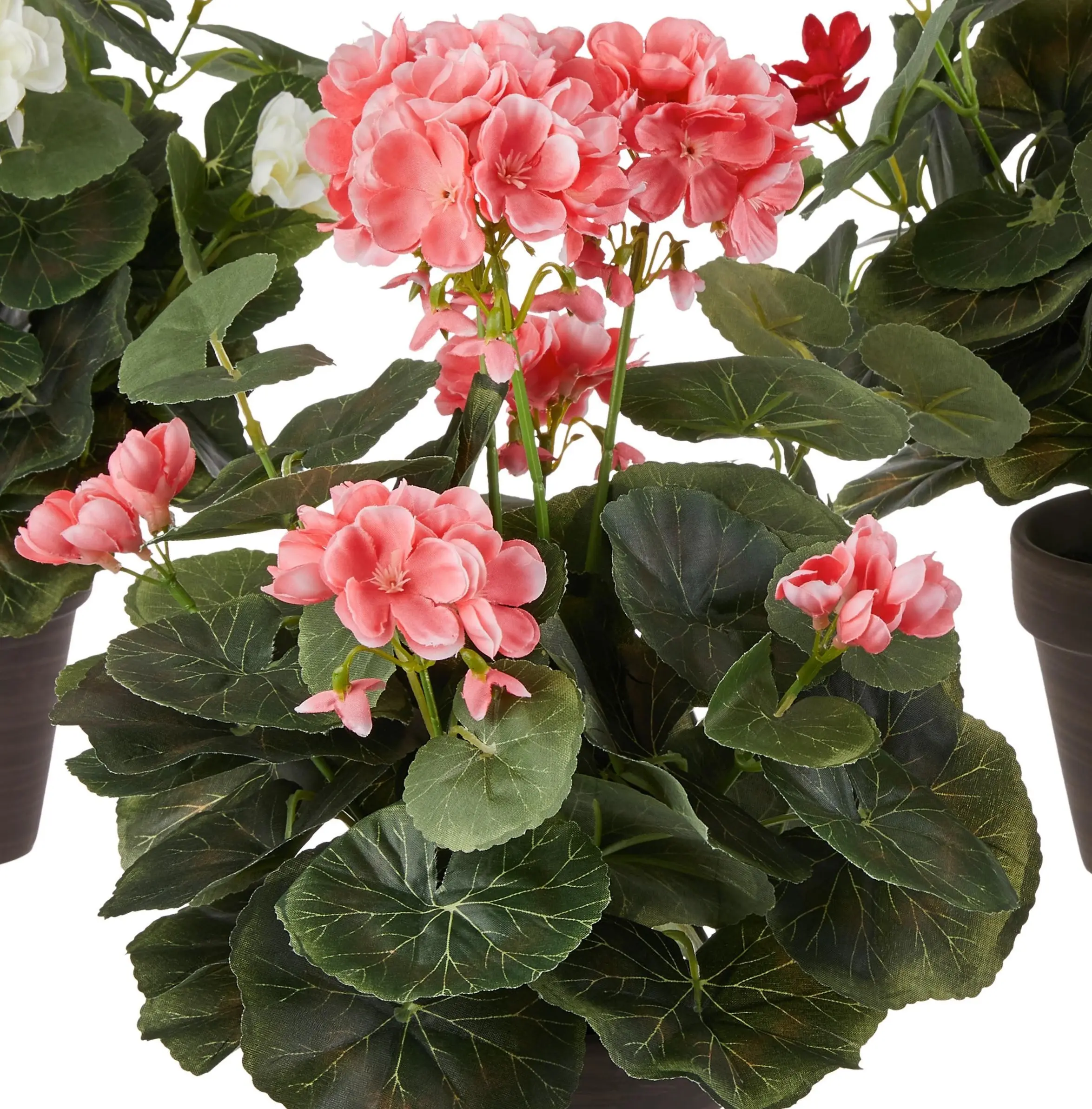 Растение искусственное Royal Geranium 55246 35x25cm - 4