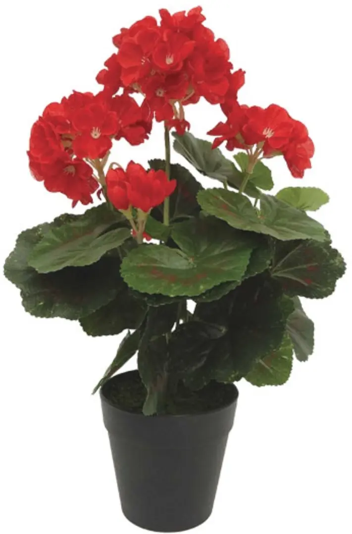 Растение искусственное Royal Geranium 55246 35x25cm