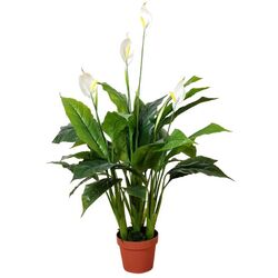 Planta artificiala Spathiphyllum Patinii 100cm (Green/White)