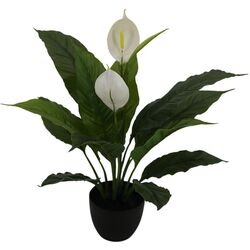 Planta artificiala Spathiphyllum Patinii 47cm (Green/White)