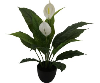 Planta artificiala Spathiphyllum Patinii 47cm (Green/White)