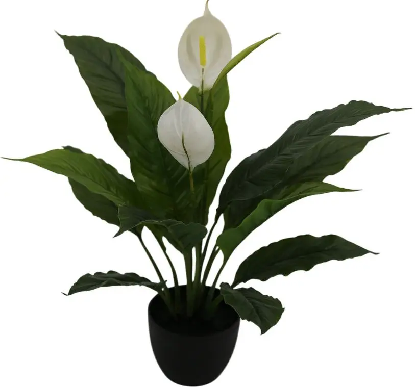 Planta artificiala Spathiphyllum Patinii 47cm (Green/White)