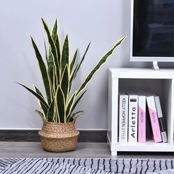 Planta artificiala Outsunny 844-267 (Green) Thumb