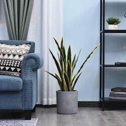 Planta artificiala Outsunny 844-267 (Green) Thumb