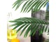 Planta artificiala Outsunny 844-350 (Green)